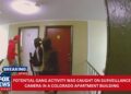 Video shows armed gang at troubled Colorado apartment building!