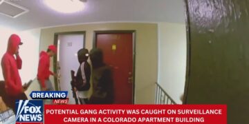 Video shows armed gang at troubled Colorado apartment building!